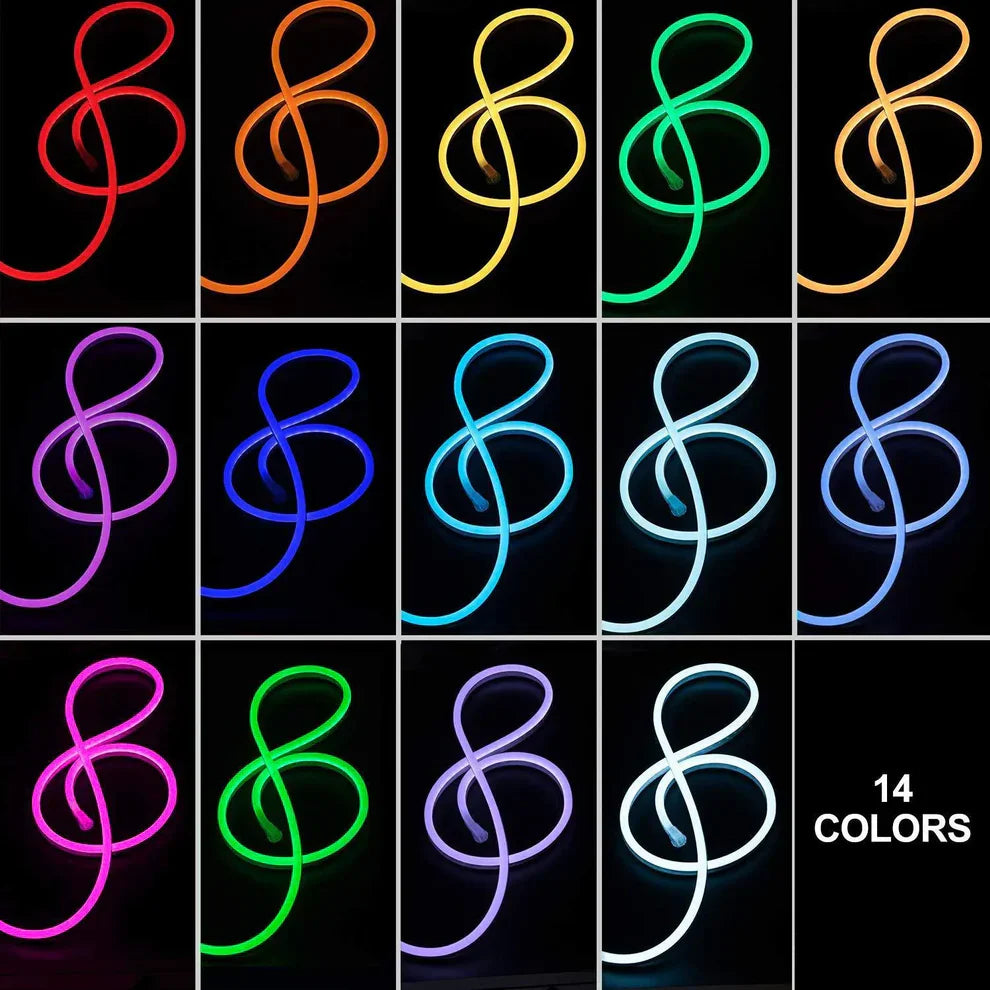 RF Controller & Remote for 110V 12.5x23mm NeonPlus RGB ProSelect