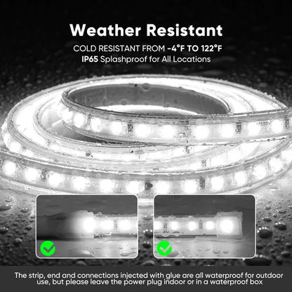 110V COB LED Strip Light with Adhesive Backing, Cool White 6000K - Lumens Depot
